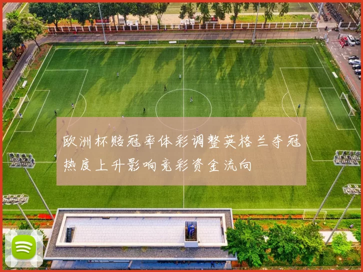 欧洲杯赔冠率体彩调整英格兰夺冠热度上升影响竞彩资金流向