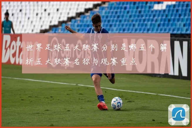 世界足球五大联赛分别是哪五个 解析五大联赛名称与观赛重点