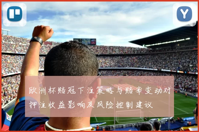 欧洲杯赔冠下注策略与赔率变动对押注收益影响及风险控制建议