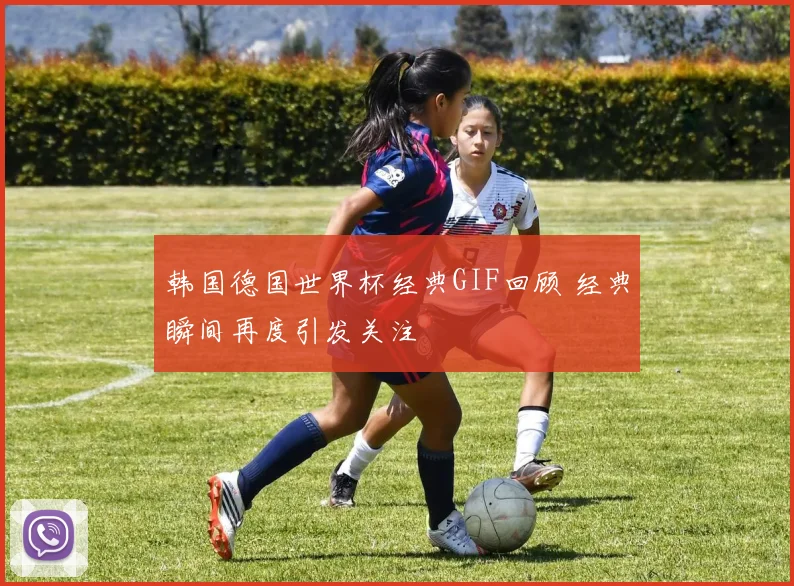 韩国德国世界杯经典GIF回顾 经典瞬间再度引发关注