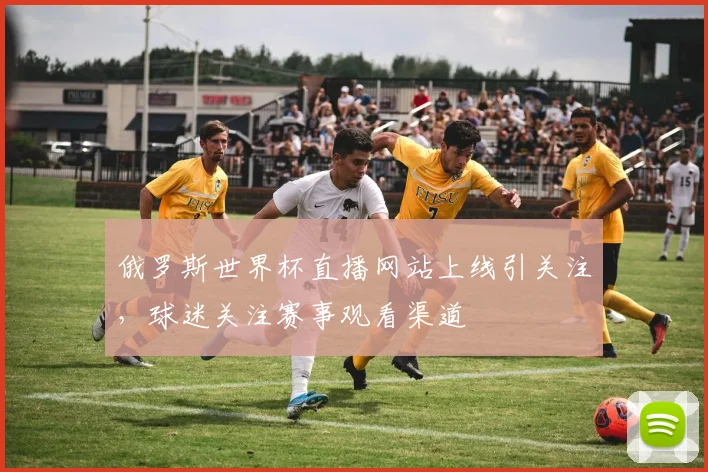 俄罗斯世界杯直播网站上线引关注,球迷关注赛事观看渠道