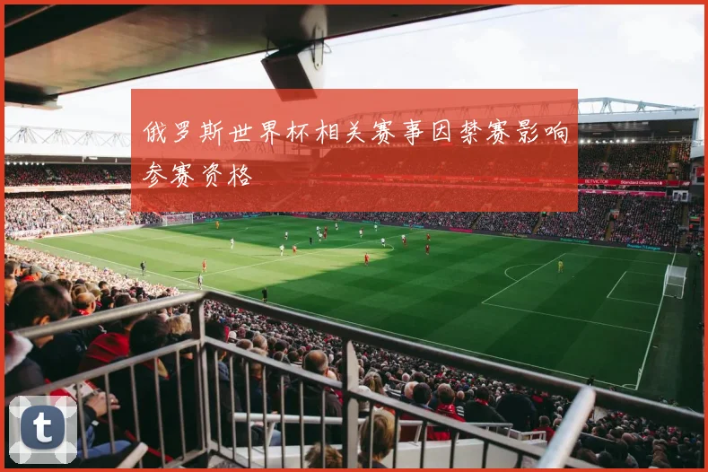 俄罗斯世界杯相关赛事因禁赛影响参赛资格