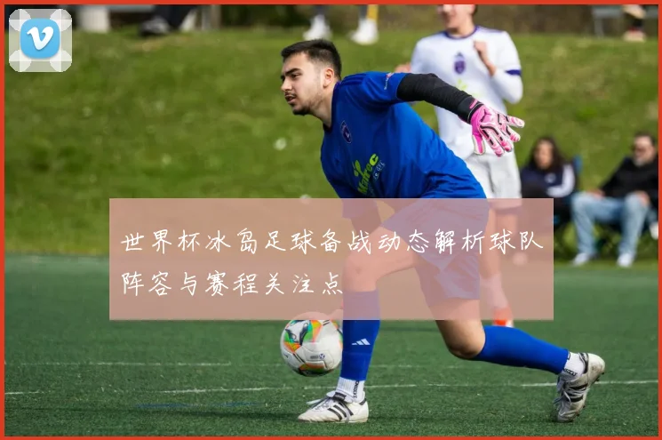 世界杯冰岛足球备战动态解析球队阵容与赛程关注点