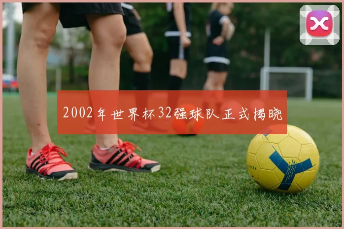 2002年世界杯32强球队正式揭晓