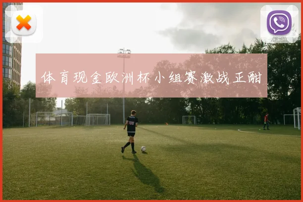 体育现金欧洲杯小组赛激战正酣